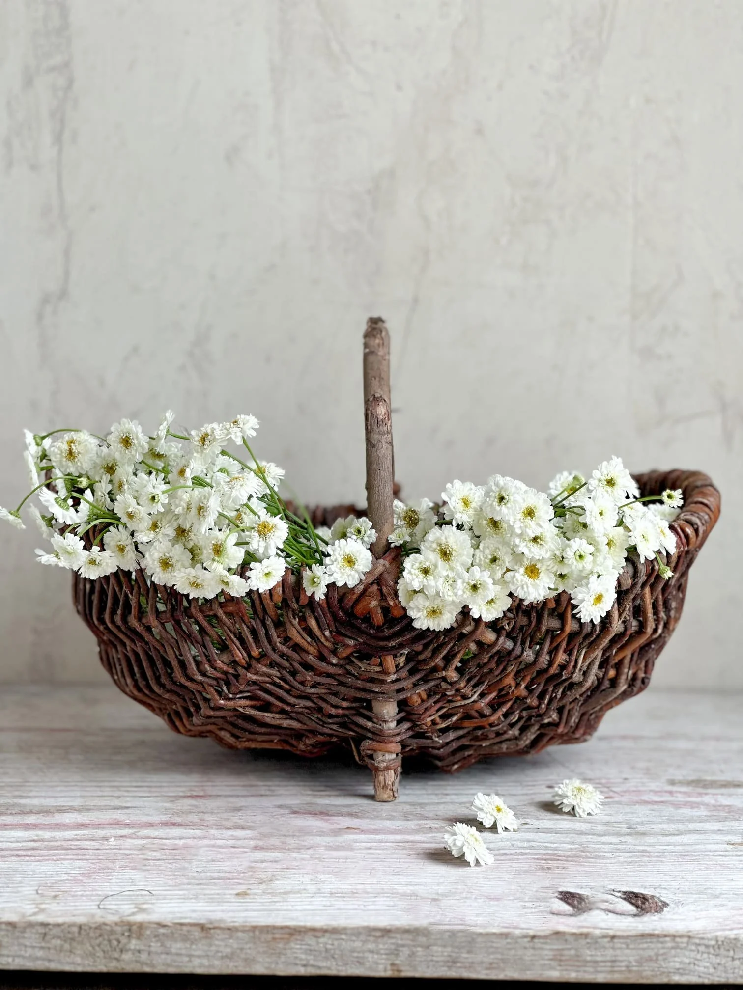 Antique French Baskets